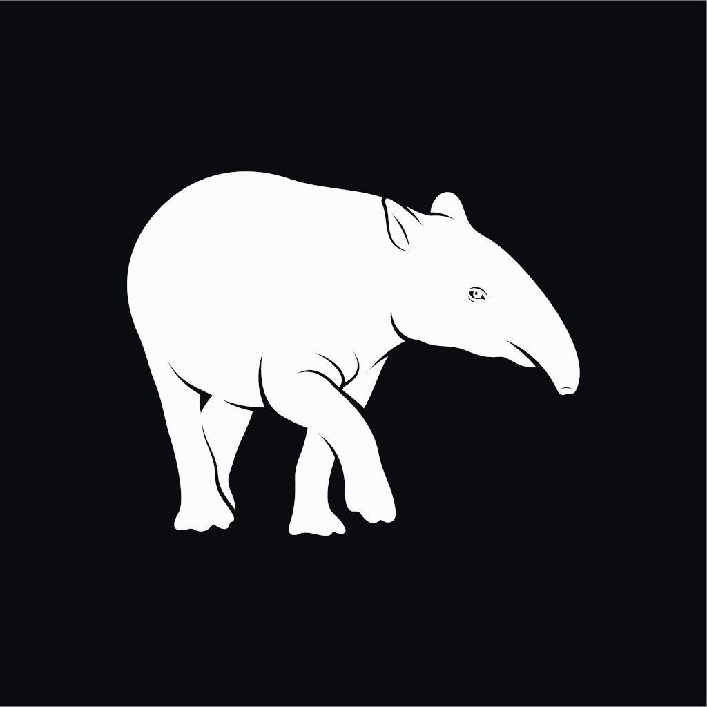 Tapir-Training